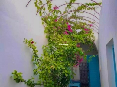 Maison originale de  style arabesque à louer  à kelibia