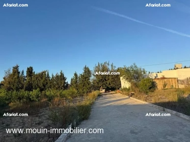 FERME ASIL Borj Hfaiedh Beni Oueil T1206