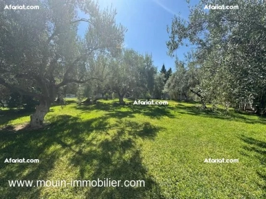 VILLA SUNSHINE Hammamet Nord Mrezka AL3590