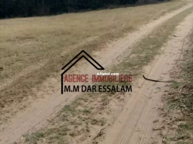 terrain agricole à vendre