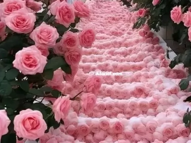 Meilleur ÉTUDE Français Meilleur ÉTUDE Français