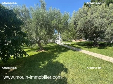 VILLA SUNSHINE Hammamet Nord Mrezka AL3590