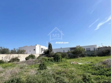 Un terrain de 650 m² dans la zone de Sidi Mahressi à vendre 51355