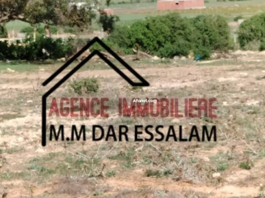 terrain près de la mer