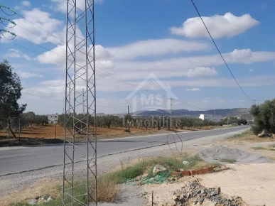 Un terrain de 200 m² sur la route principale à Hammamet Sud Un terrain de 200 m² sur la route principale à Hammamet Sud