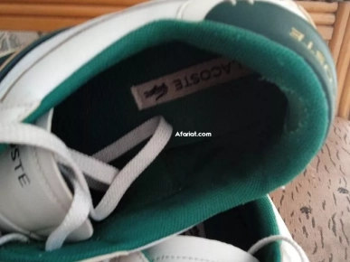 Lacoste pointure 41 /96353583