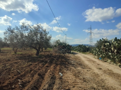 Terrain constructible  à vendre à Hammamet El monchar