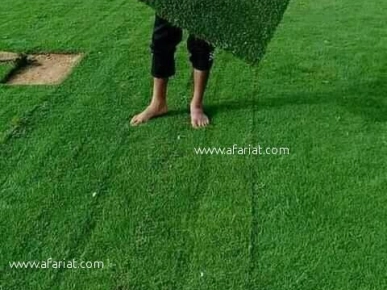 vente et posez gazon naturelle vente et posez gazon naturelle