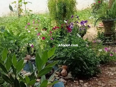 belle villa à vendre