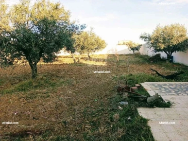 Un terrain de 2100 m² avec 1 studio à Hammamet Sud à vendre