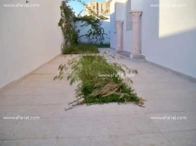 Villa La Luna AV1313 Hammamet zone theatre