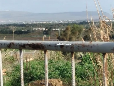 terrain sur la route principal