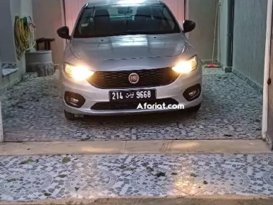 belle tipo