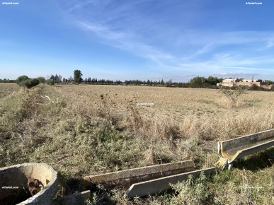 terrain a vendre