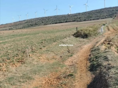 terrain près de la mer