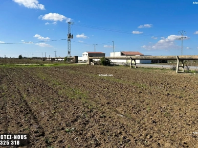 Terrain Agricole à vendre à Chorfech, Sidi Thabet