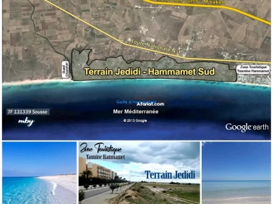Terrains à Hammamet Sud - Bouficha – Sousse Terrains à Hammamet Sud - Bouficha – Sousse