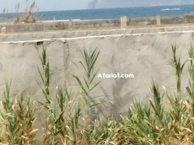 terrain près de la mer