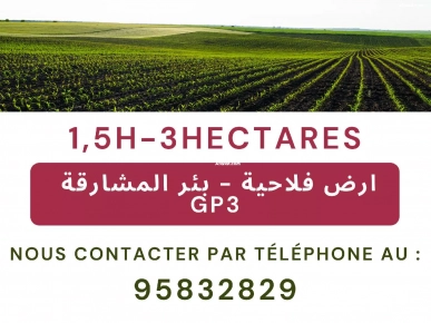 1.5 Hectares GP3 1.5 Hectares GP3