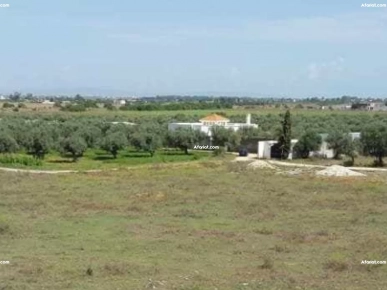 Route de Bizerte Sidi Younes Pas Loin de « Géant » cebalet B.Amar Route de Bizerte Sidi Younes Pas Loin de « Géant » cebalet B.Amar