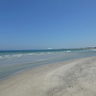 offre séduisant à Kélibia