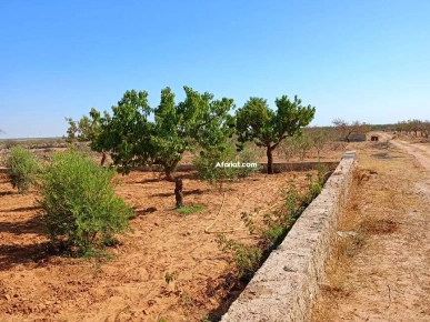 TH_للعقارات TH_للعقارات