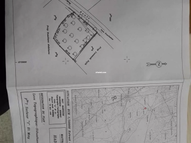 TERRAIN 2 658 M² SUR ROUTE EL MAY 4175 DJERBA - TEYANEST TERRAIN 2 658 M² SUR ROUTE EL MAY 4175 DJERBA - TEYANEST