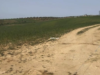 terrain Mawjoud fi klibia عين قرنز terrain Mawjoud fi klibia عين قرنز