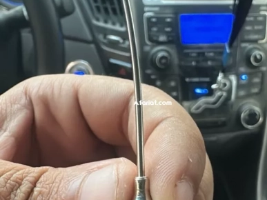 Aiguille de gavage vétérinaire courbée 16G