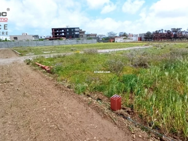 Terrain constructible à dar alouche kélibia Terrain constructible à dar alouche kélibia