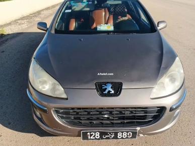 Peugot 407