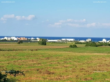 Un terrain vu sur mer à Kélibia