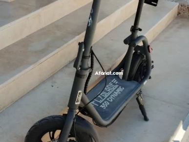 Draisienne Electrique FLYBLADE 350