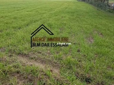 terrain près de la mer