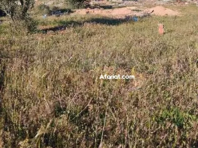 بيع أرض في فوشانة بيع أرض في فوشانة