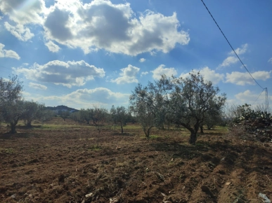 Terrain constructible  à vendre à Hammamet El monchar