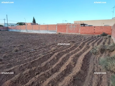 Terrain de 1 940 m² – Route Saltnia km 5, Sfax