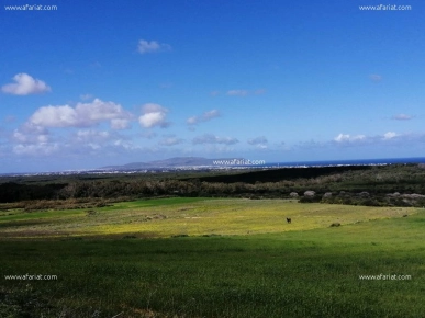 Terrain à vue agréable à Tamozrat