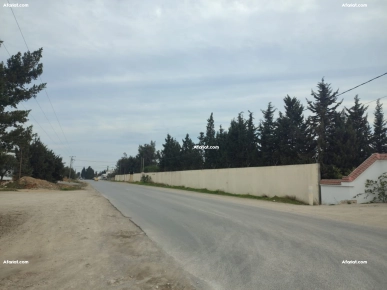 Terrain clôturée  à vendre à Hammamet