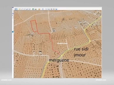 belle terrain belle terrain