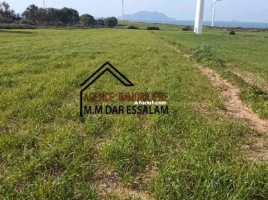 terrain près de la mer