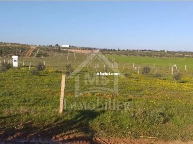 UN TERRAIN 1000M² À VENDRE À HAMMAMET SUD