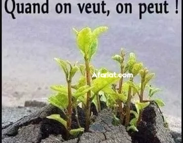 ÉTUDE français Tous les niveaux ÉTUDE français Tous les niveaux