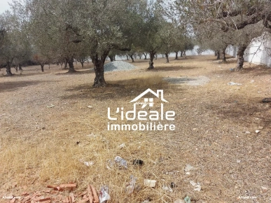 Terrain d'investissement à Hammamet