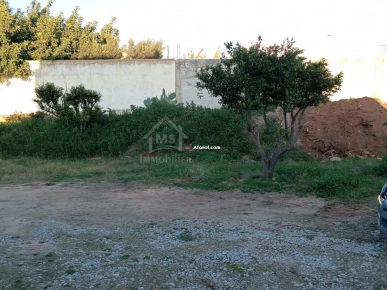 Un lot de terrain de 500 m² à Hammamet à vendre 51355351