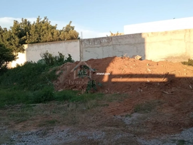 Un lot de terrain de 500 m² à Hammamet à vendre 51355351