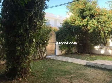 Duplex Melody AL2580 Hammamet zone theatre