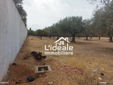 Terrain d'investissement à Hammamet