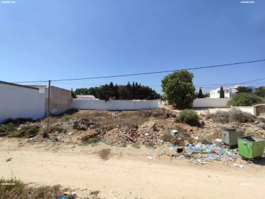À vendre : Deux terrains à El Haouaria, à seulement 5 minutes
