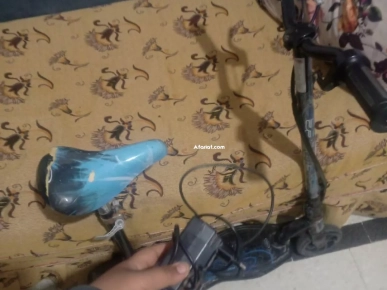 troutinette ilectric